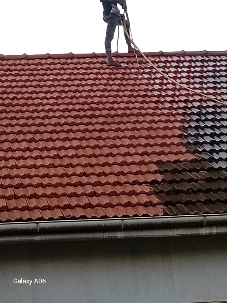 Rooftiles & Coloured Iron Sheet Cleaning